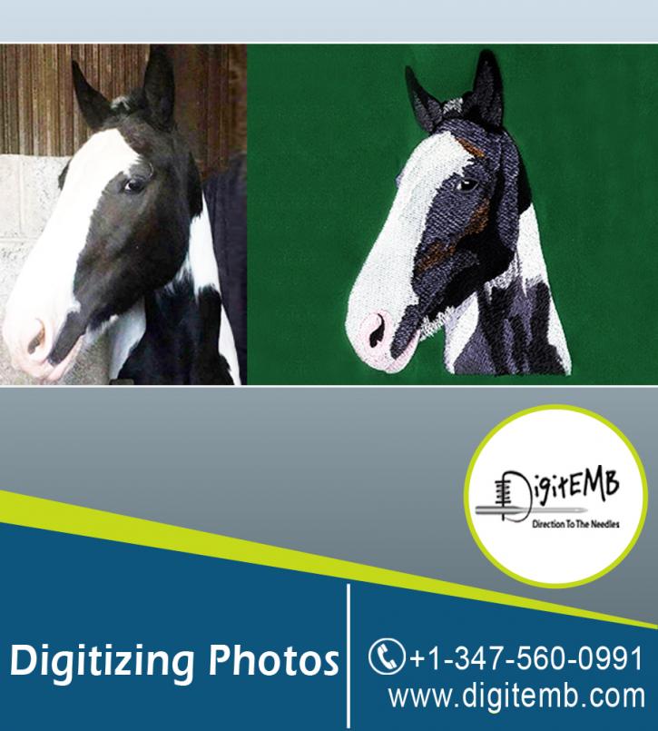 Image for Digitizing Photos with ID of: 2462563