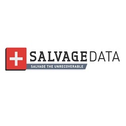 Image for SALVAGEDATA Recovery Services Chicago with ID of: 2463283