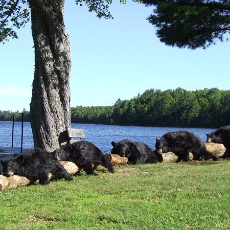 Image for Wilderness Escape Outfitters with ID of: 2463373