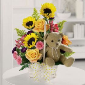 Image for Nature's Treasures with ID of: 2464036