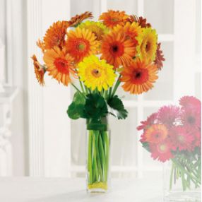 Image for Nature's Treasures with ID of: 2464038