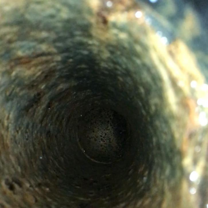 Image for Nutmeg State Drain, LLC with ID of: 2464658