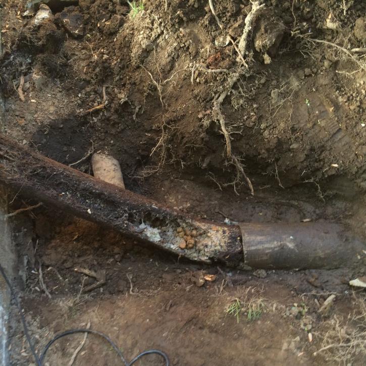 Image for Nutmeg State Drain, LLC with ID of: 2464659