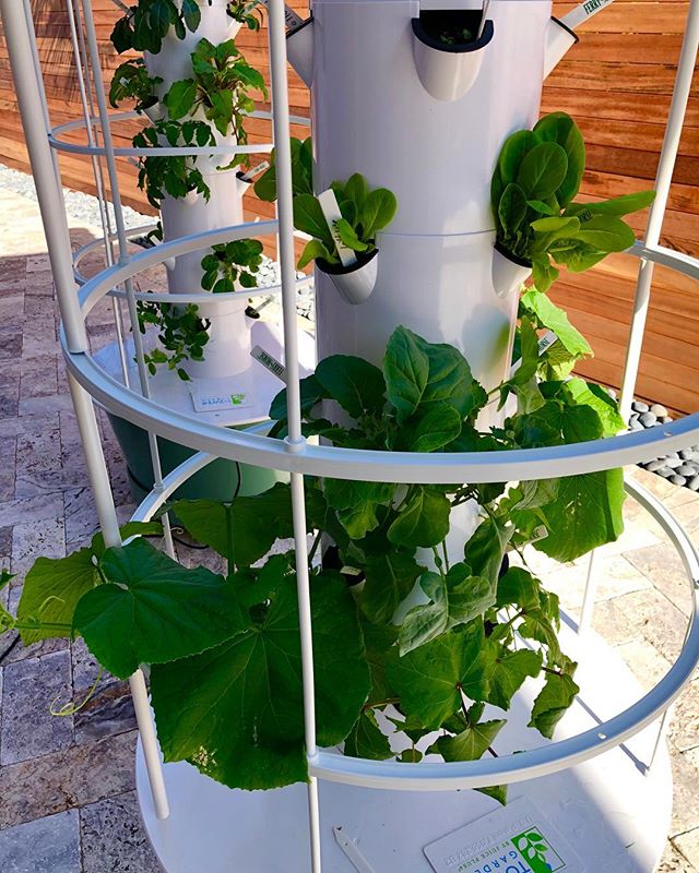 Image for Tower Garden with ID of: 2465223