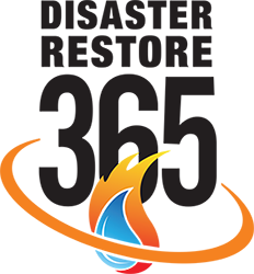 Image for Disaster Restore 365 with ID of: 2465256