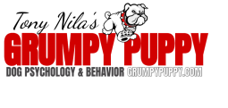 Image for Grumpy Puppy Dog Psychology & Behavior with ID of: 2467511