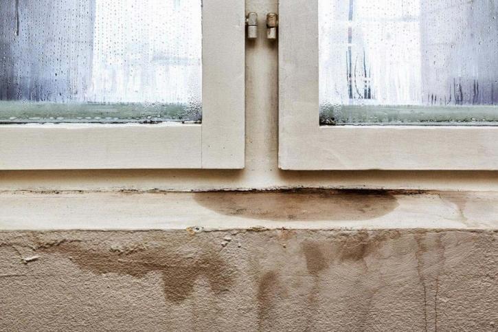 Image for Bio Safety Clean with ID of: 2468662