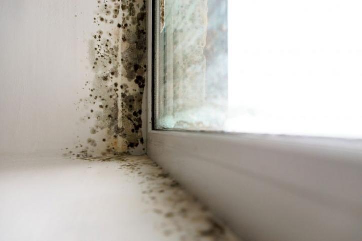 Image for Bio Safety Clean with ID of: 2468664