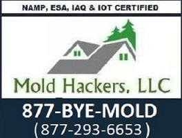 Image for MoldHackers, LLC with ID of: 2469023