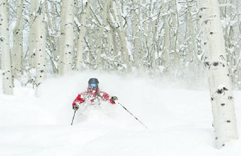 Image for American Ski Exchange with ID of: 2469344