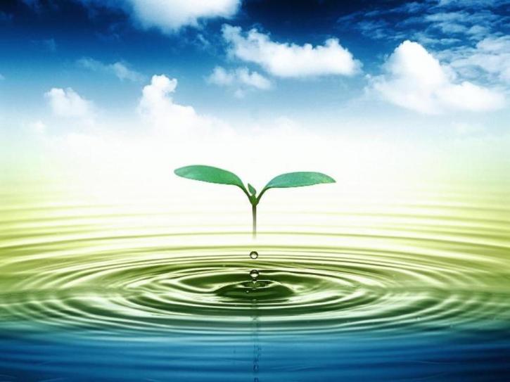 Image for http://wellnesssupplement.com/ with ID of: 2469794