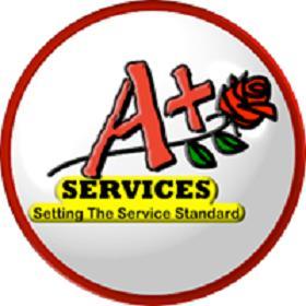 Image for A+ Services with ID of: 2470534