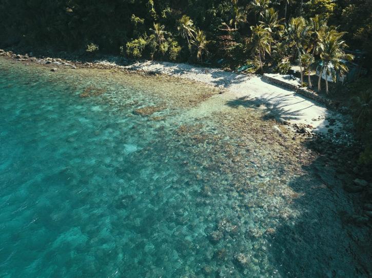 Image for Monkey Beach Dive Resort with ID of: 2471806