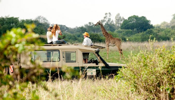 Image for Nairobi Safari Tours with ID of: 2472992