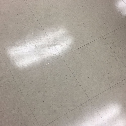 Image for F.A.A.D. Janitorial with ID of: 2473603