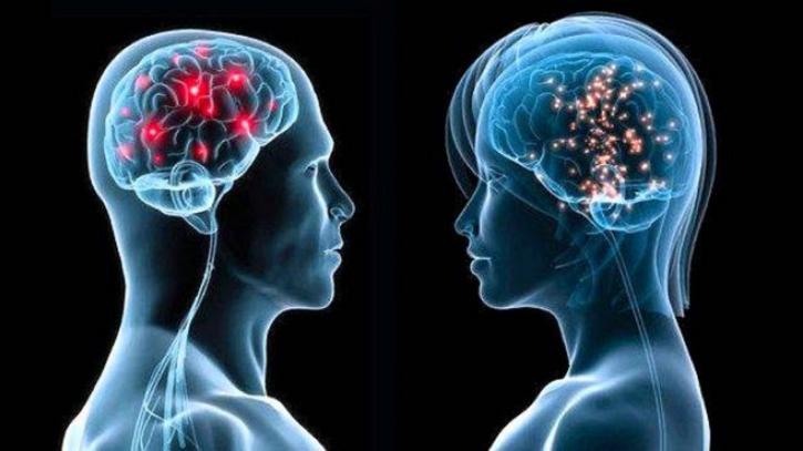 Image for https://healthsupplementzone.com/saint-elias-cognitive/ with ID of: 2473785