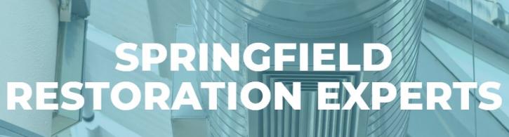 Image for Springfield Mold Restoration Experts with ID of: 2474036