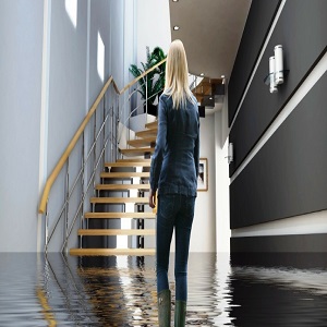 Image for Flood Doctor with ID of: 2475590