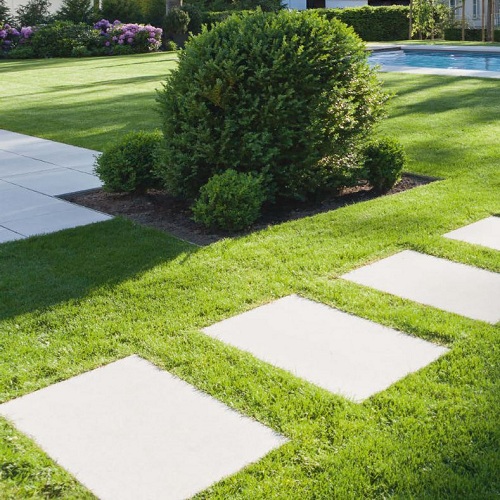 Image for Paver Master with ID of: 2476545