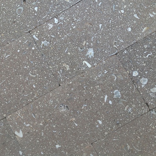 Image for Paver Master with ID of: 2476547