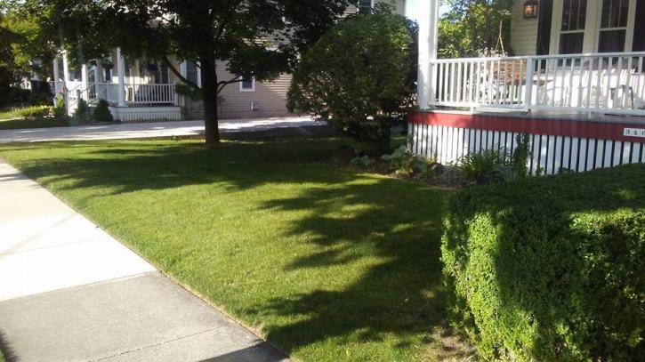 Image for Silver Clean-Up Lawn Maintenance with ID of: 2479894