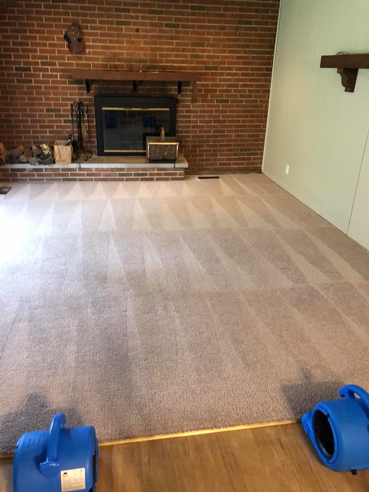 Image for Absolute Carpet Care with ID of: 2480382