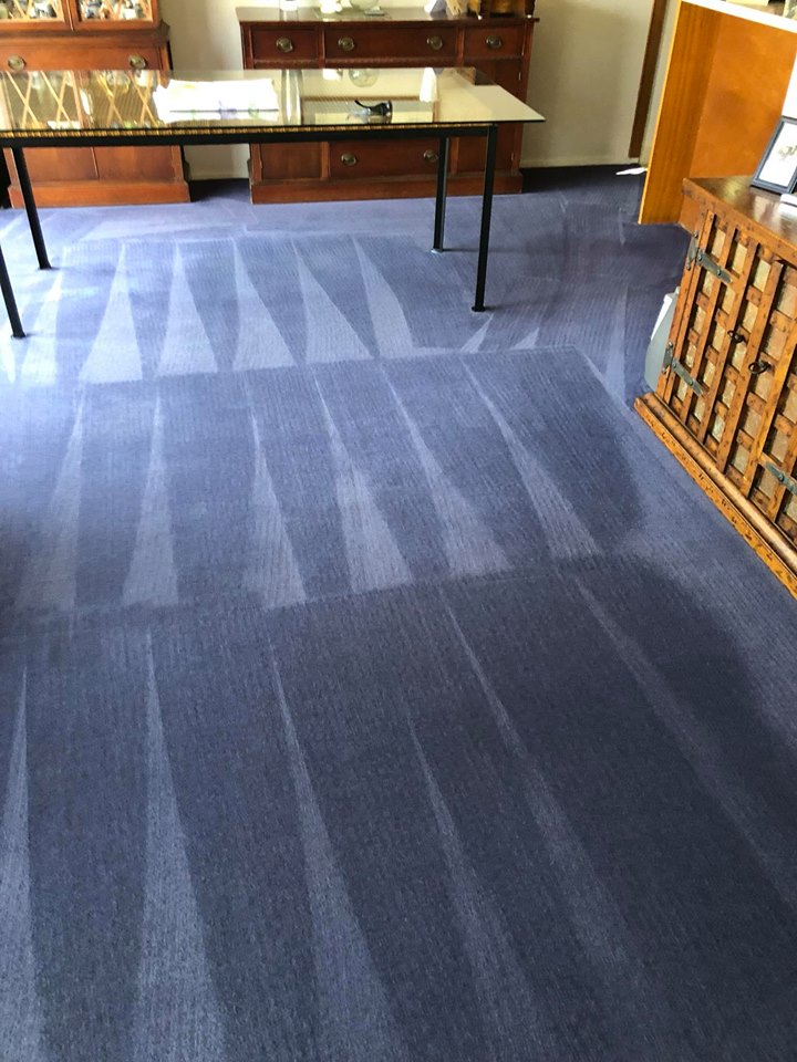 Image for Absolute Carpet Care with ID of: 2480383
