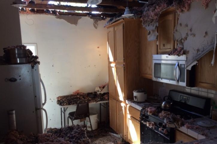Image for Fire Restoration with ID of: 2480478