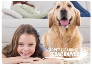 Image for Carpet Cleaning Cedar Rapids with ID of: 2480595