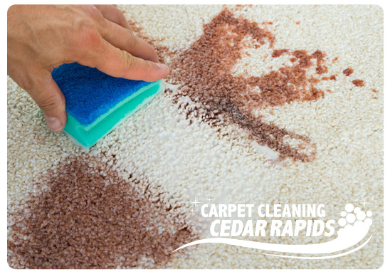 Image for Carpet Cleaning Cedar Rapids with ID of: 2480598