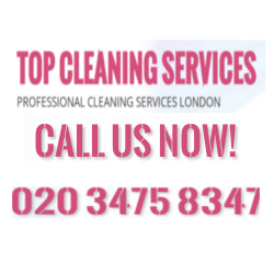 Image for Top Cleaning Services with ID of: 2480934