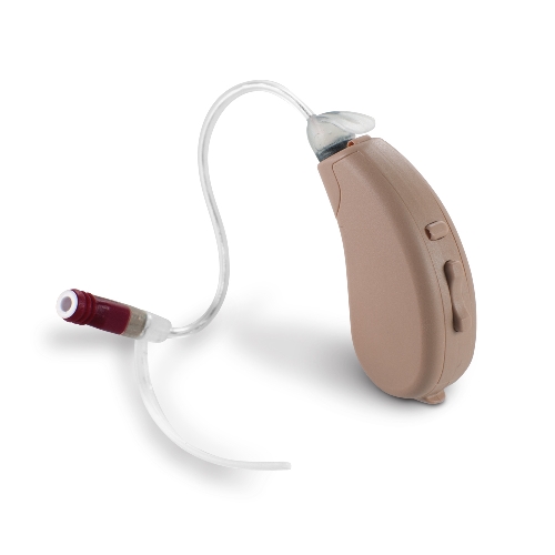 Image for Platinum Hearing with ID of: 2481824