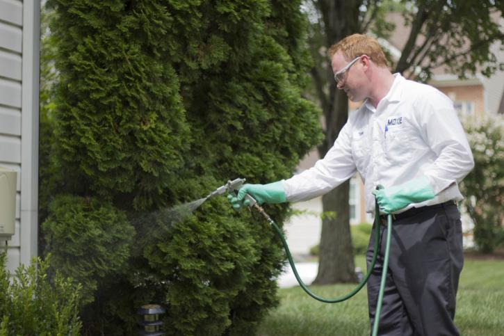 Image for American Pest Control Exterminators with ID of: 2483841