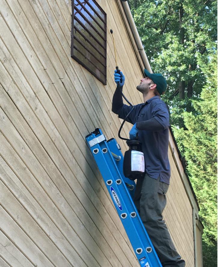 Image for American Pest Control Exterminators with ID of: 2483842