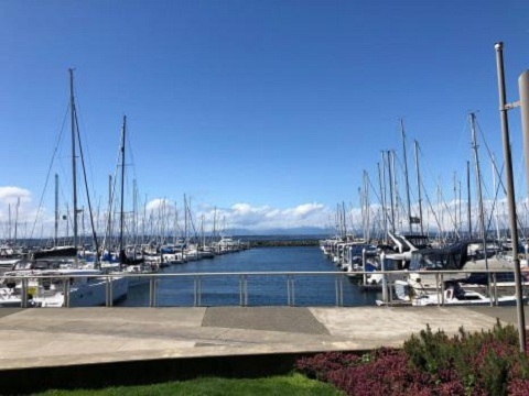 Image for Seattle Sailing Club with ID of: 2484647