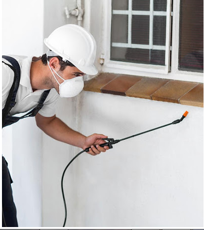 Image for Pest Off Exterminators with ID of: 2484851