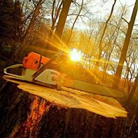 Image for Affordable Tree Service with ID of: 2487164