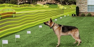 Image for UpDogFence with ID of: 2488196