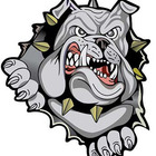 Image for Vector Logo with ID of: 2489024