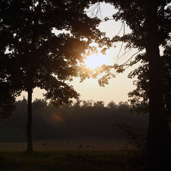 Image for Brushy Creek Lodge & Resort with ID of: 2489303