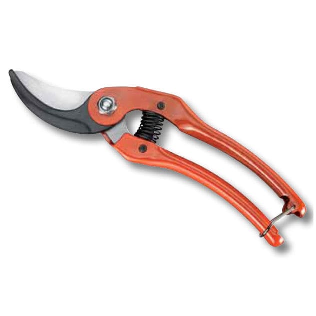 Image for Manual Pruning Shears Market provides an in-depth insight of Sales and Trends Forecast to 2021 with ID of: 2489708