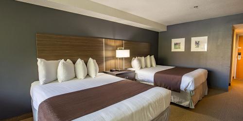Image for Best Western Inn at the Meadows with ID of: 2491010