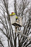 Image for Senske Services with ID of: 2491098
