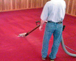 Image for Apex Carpet Care, LLC with ID of: 2492453