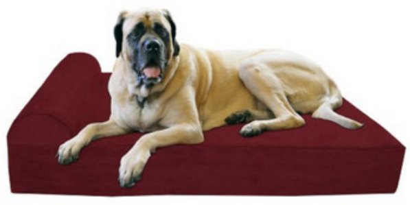 Image for Dog Bed Zone with ID of: 2493495