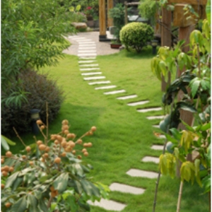 Image for Alder Creek Landscaping with ID of: 2494085