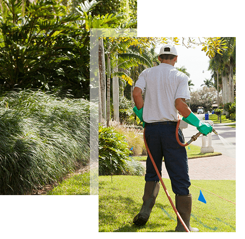 Image for Weber's Landscape and Lawn Services with ID of: 2494840