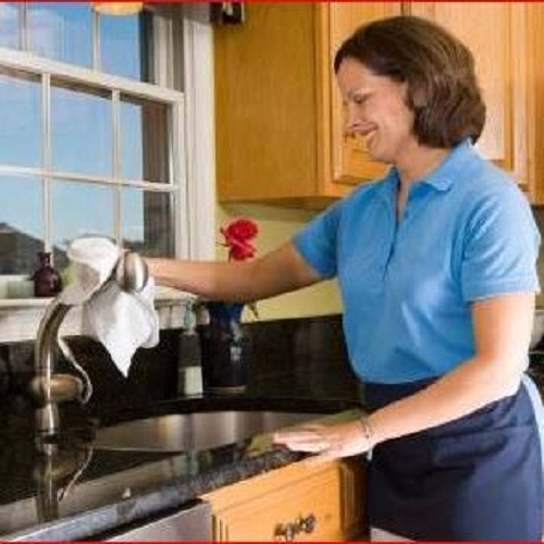 Image for Halina's Enterprise with ID of: 2496275