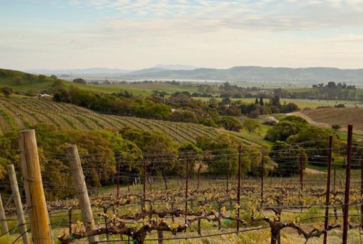 Image for Tin Barn Vineyards with ID of: 2497520