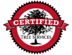 Image for Certified Tree Removal Services with ID of: 2497990